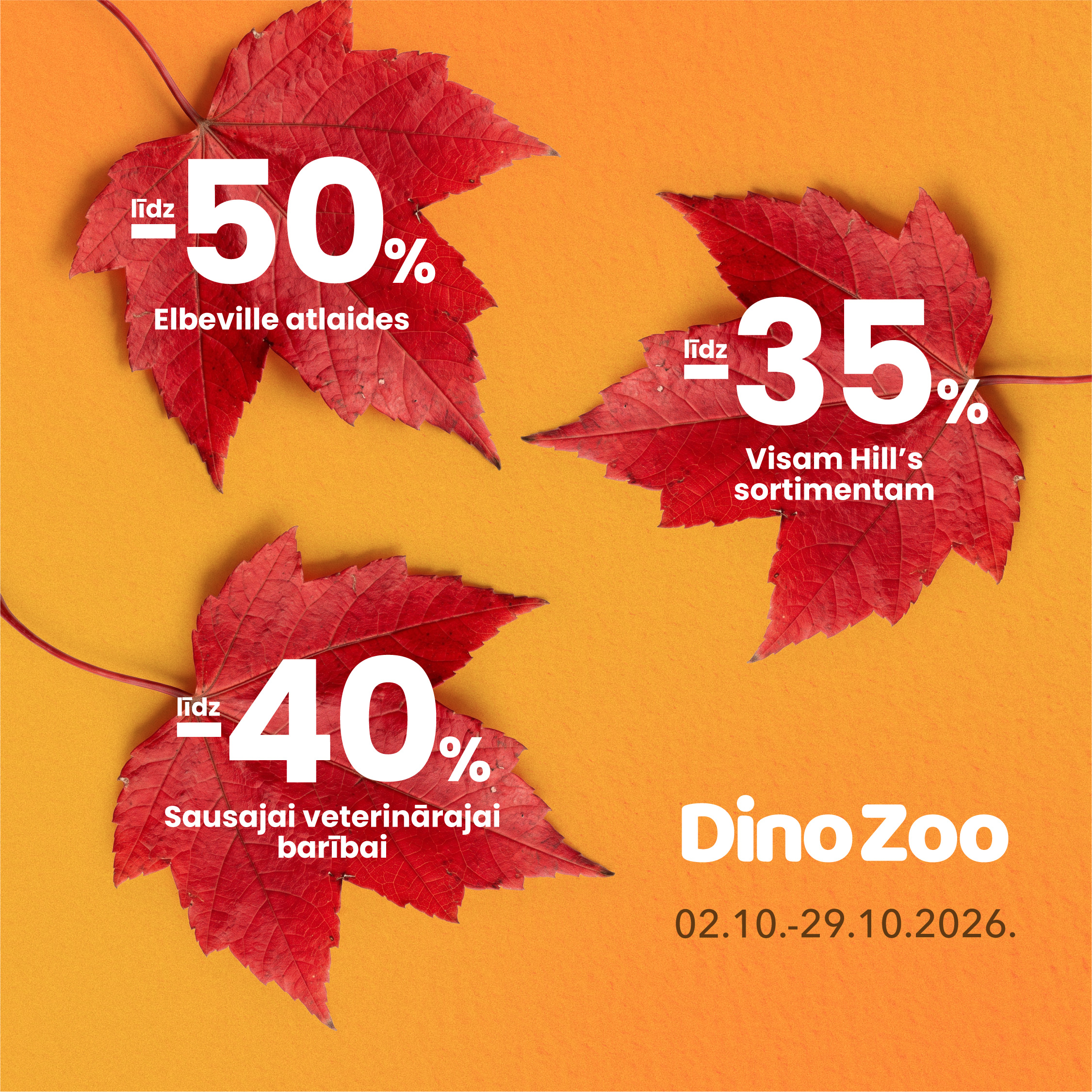 Dino Zoo
